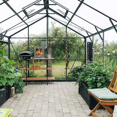 4 Star In